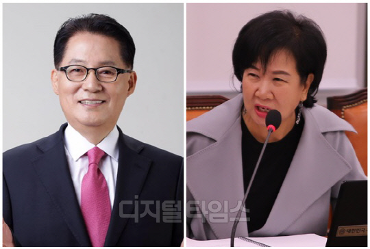 박지원(왼쪽) 전 국가정보원장과 손혜원 전 국회의원. <디지털타임스 DB>